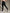 Seamless Power-Leggings – High Waist, perfekte Passform
